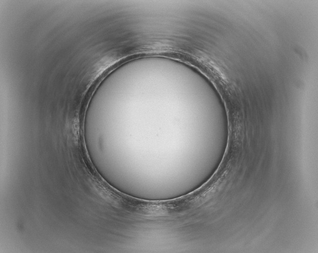 X0000115651457200912011512