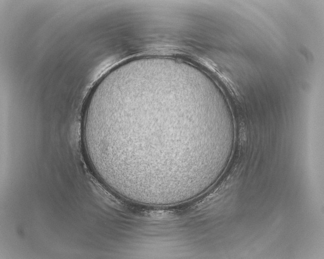 X0000115651459200912011512