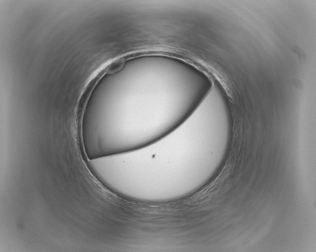 X0000115651460200912011512