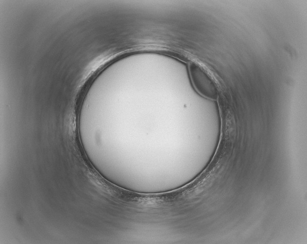 X0000115651461200912011512