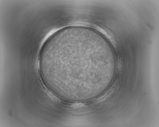 X0000115651462200912011512