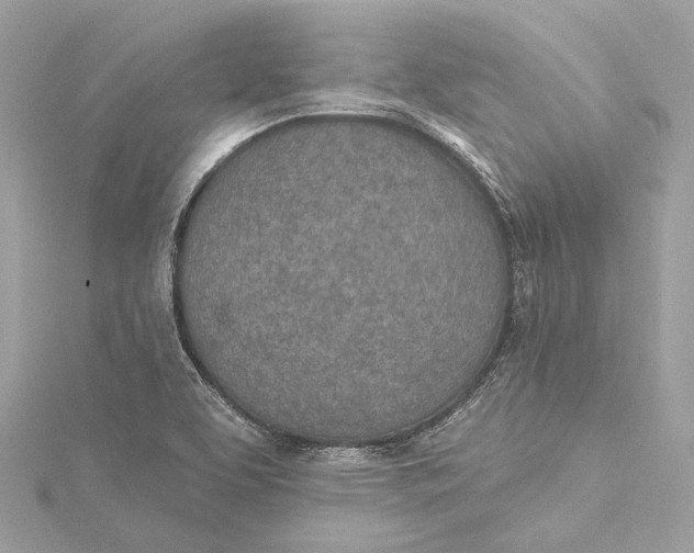 X0000115651463200912011512