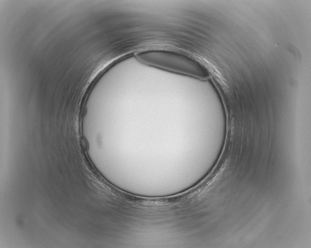 X0000115651465200912011512