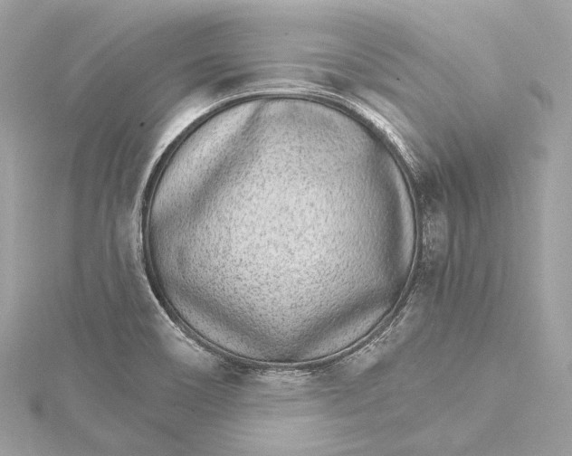 X0000115651466200912011512