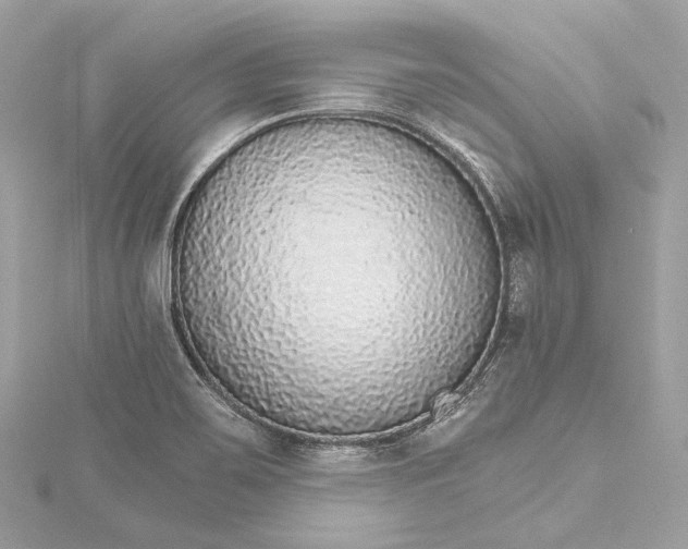 X0000115651467200912011512