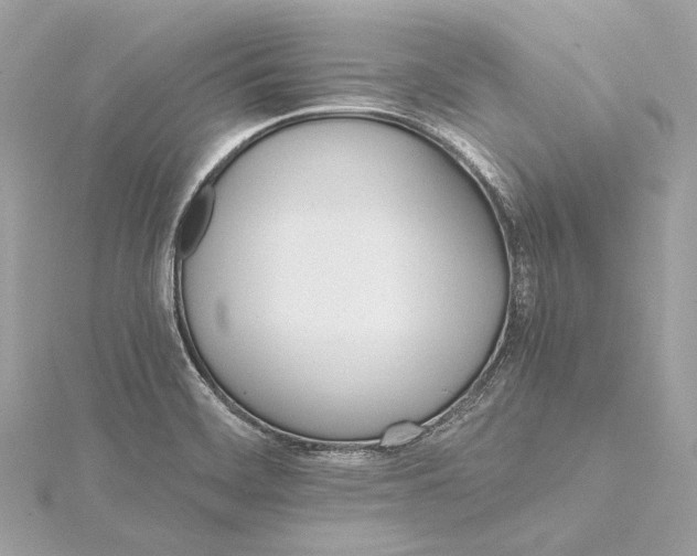 X0000115651468200912011512