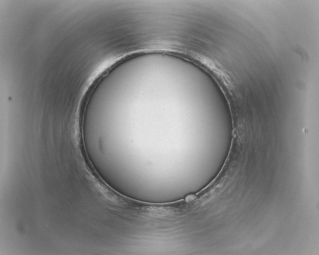 X0000115651469200912011512