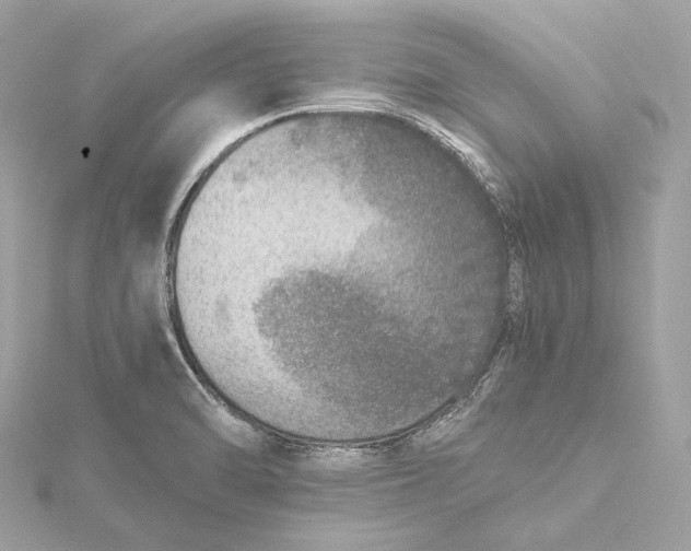 X0000115651470200912011512