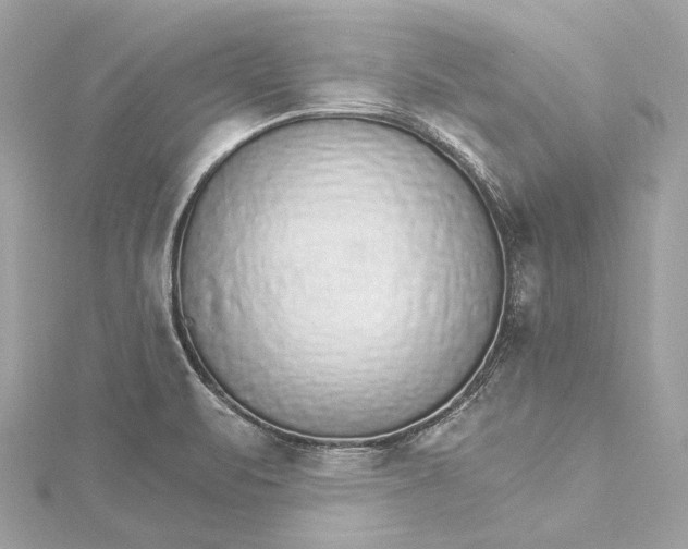 X0000115651471200912011512