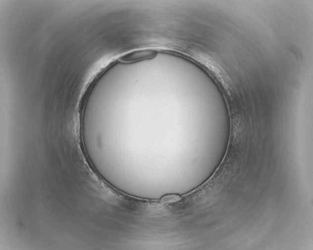 X0000115651472200912011512