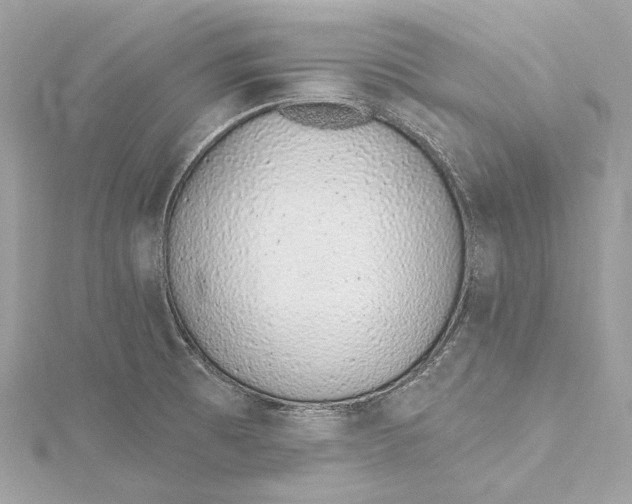 X0000115651473200912011512