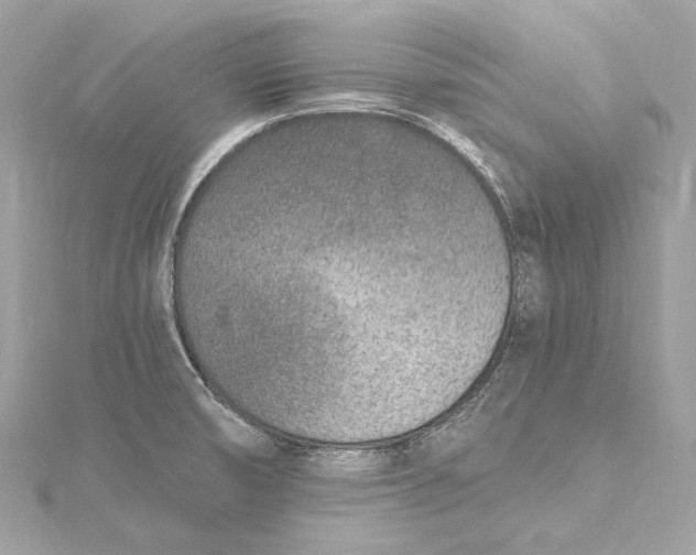 X0000115651474200912011512