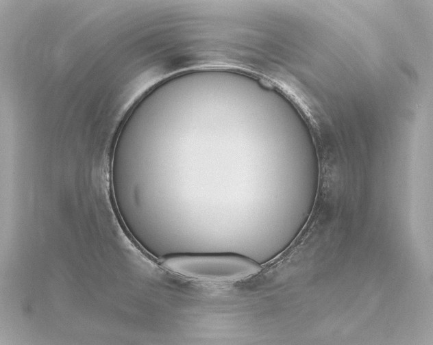 X0000115651476200912011512