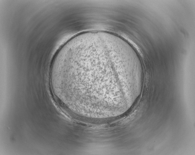 X0000115651477200912011512