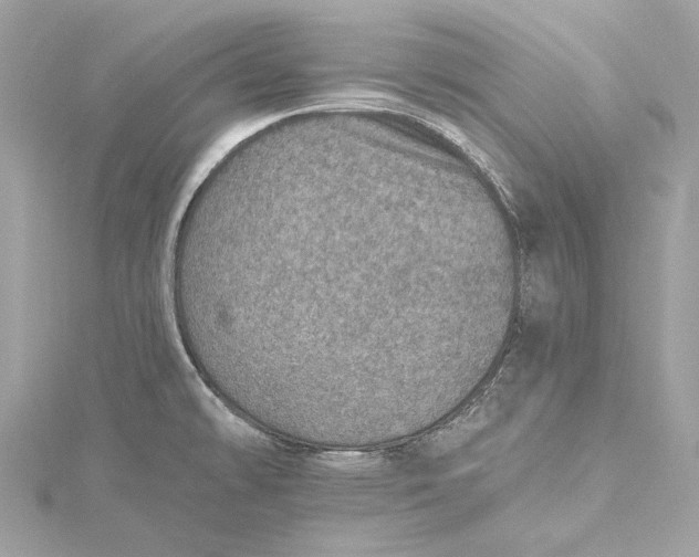 X0000115651478200912011512