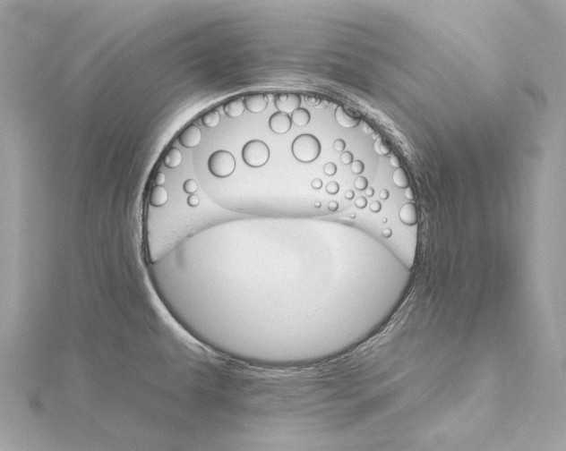 X0000115651479200912011512