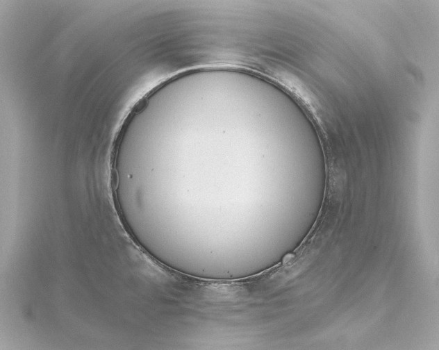 X0000115651480200912011512