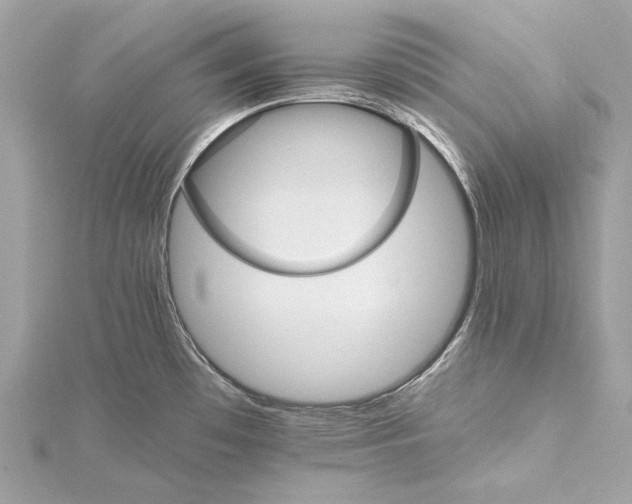 X0000115651481200912011512