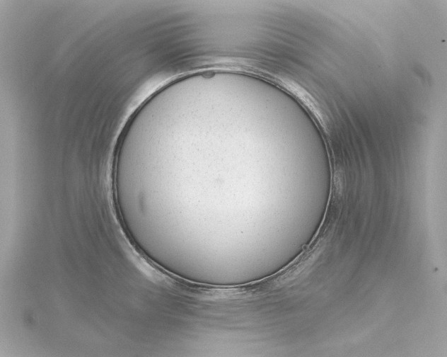 X0000115651482200912011512