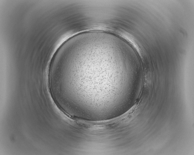 X0000115651483200912011512