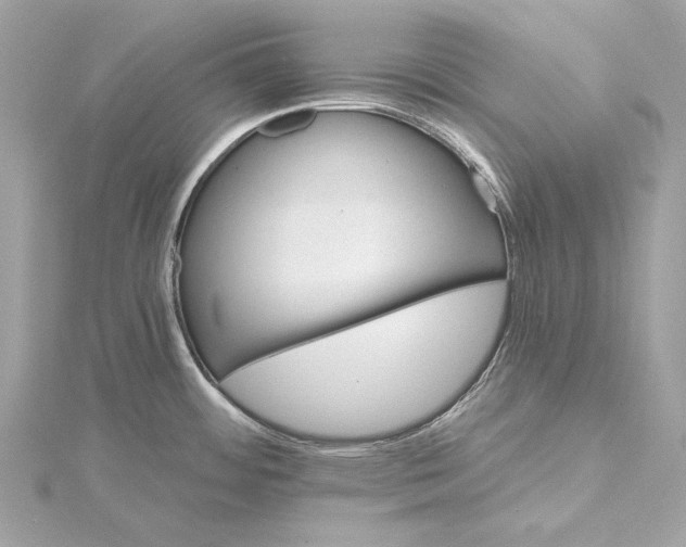 X0000115651484200912011512