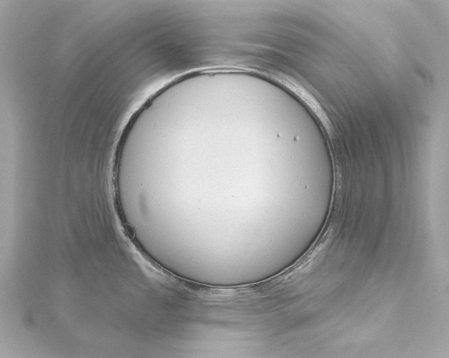 X0000115651485200912011512