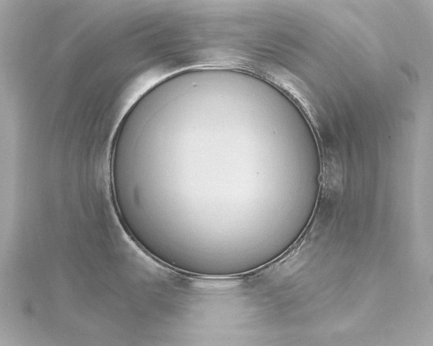 X0000115651487200912011512