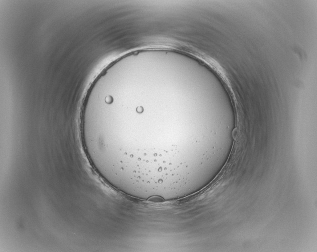 X0000115651488200912011512