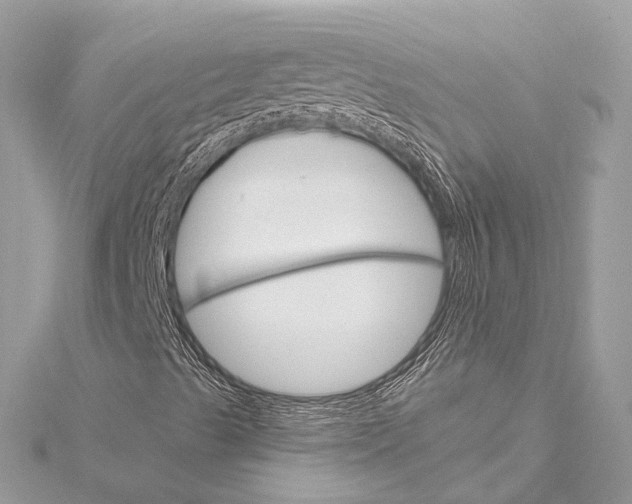 X0000115651489200912011511