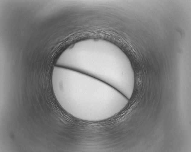 X0000115651490200912011511