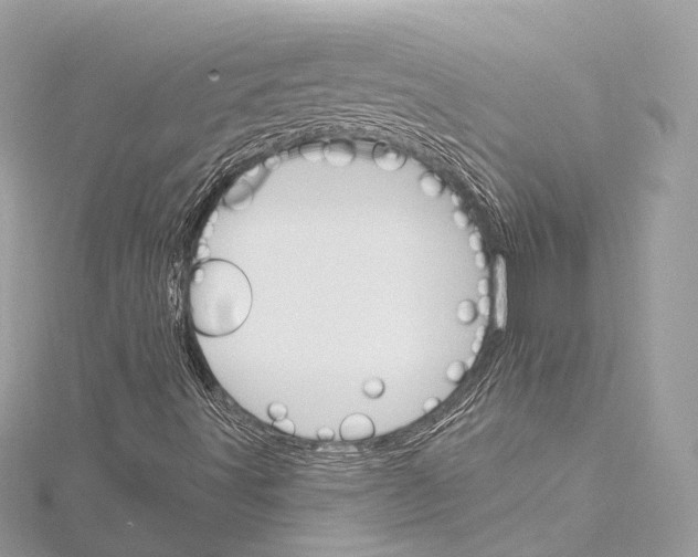 X0000115651491200912011511