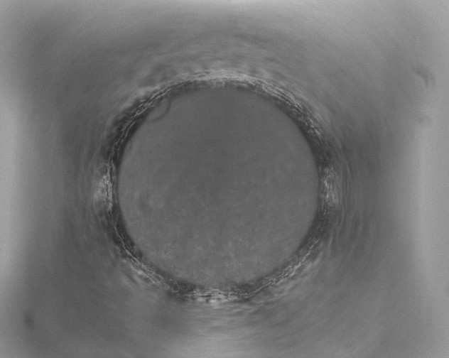 X0000115651493200912011511