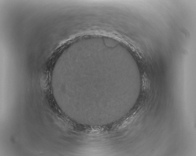 X0000115651494200912011511