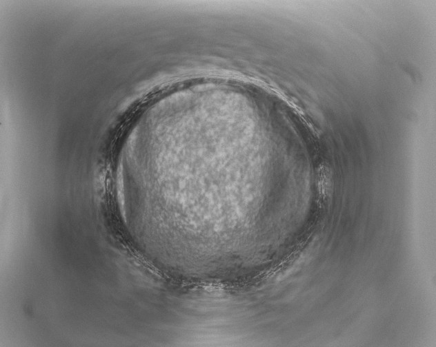 X0000115651495200912011511