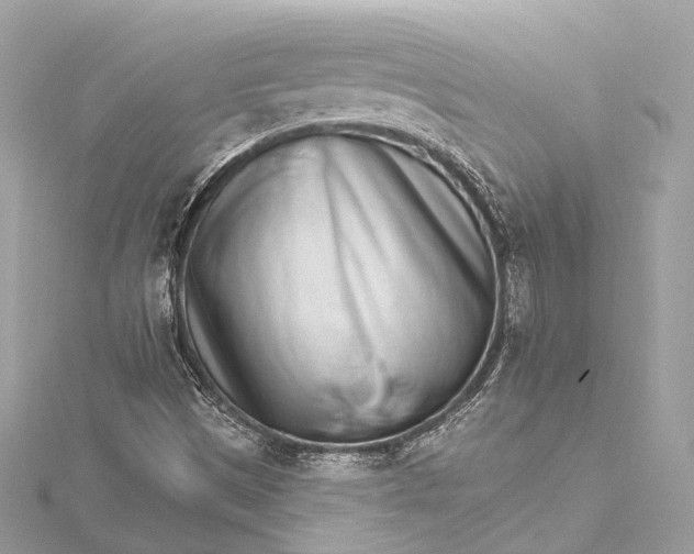 X0000115651497200912011511