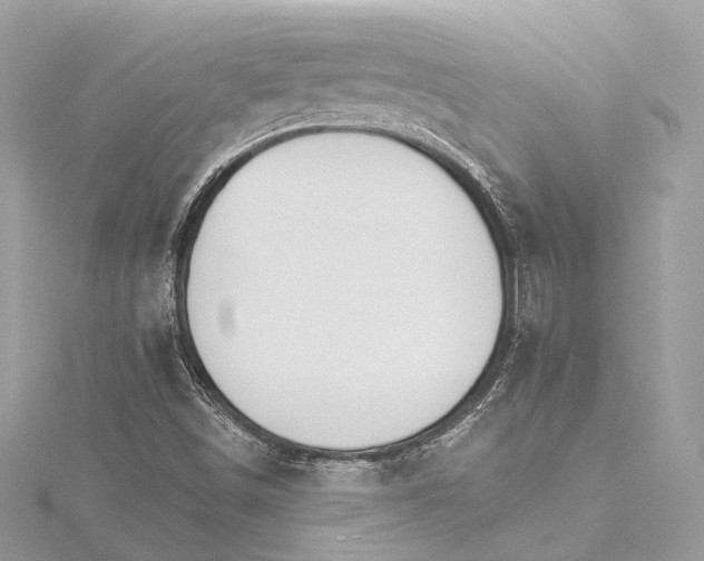 X0000115651498200912011511