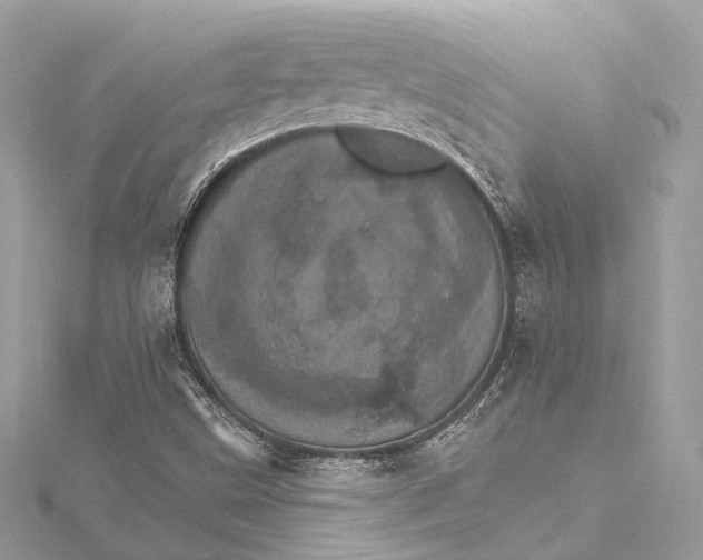 X0000115651499200912011511