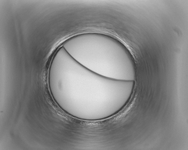 X0000115651501200912011511