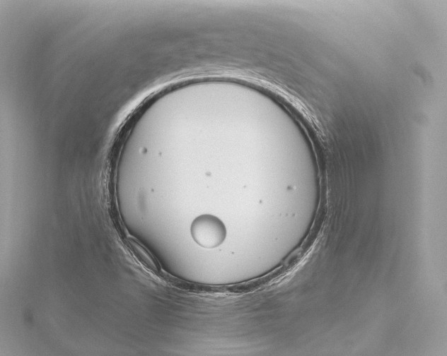 X0000115651502200912011511