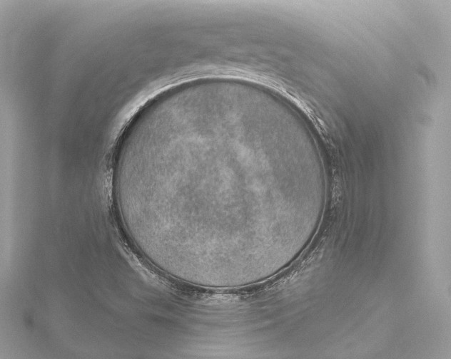 X0000115651503200912011511