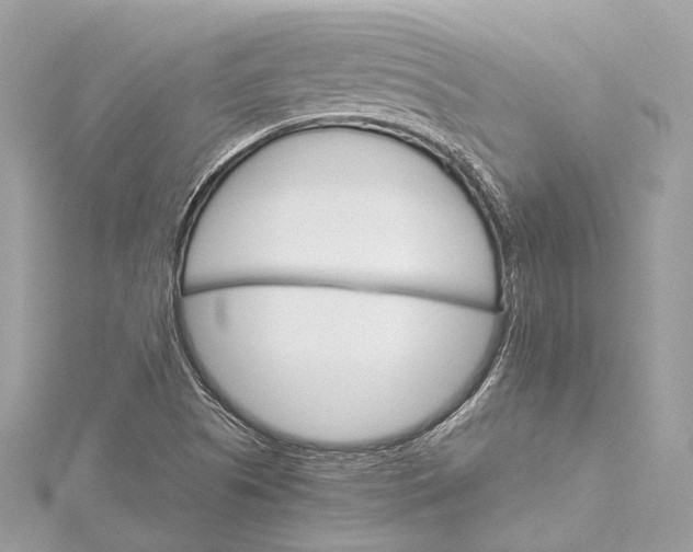 X0000115651505200912011511