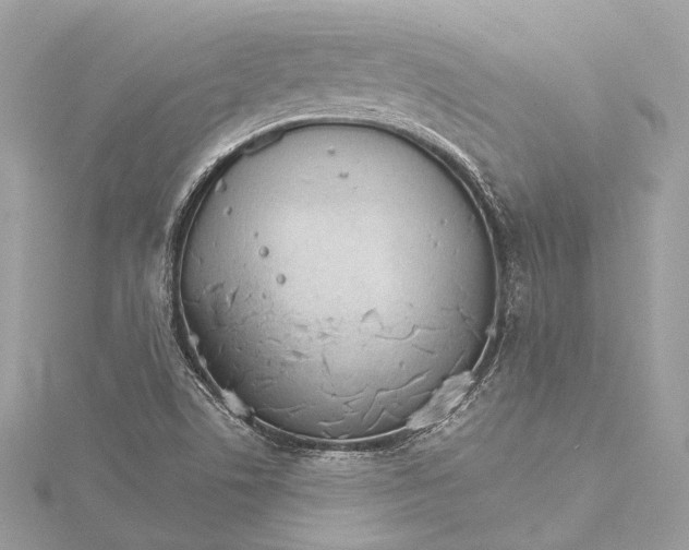 X0000115651506200912011511