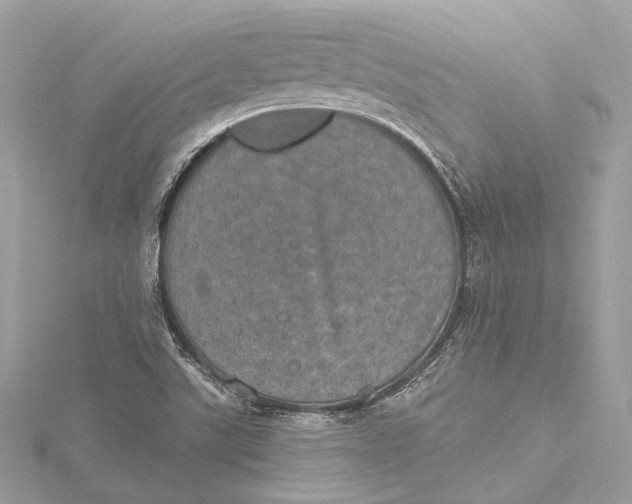 X0000115651507200912011511