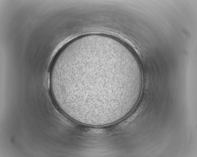 X0000115651509200912011511