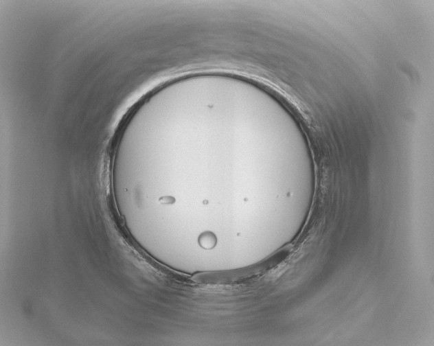 X0000115651510200912011511