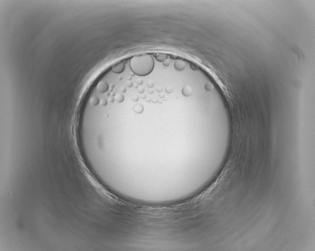 X0000115651511200912011511