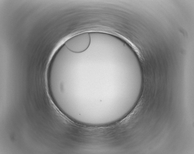 X0000115651514200912011511