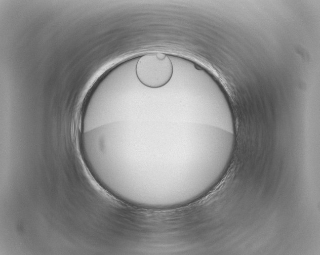 X0000115651515200912011511