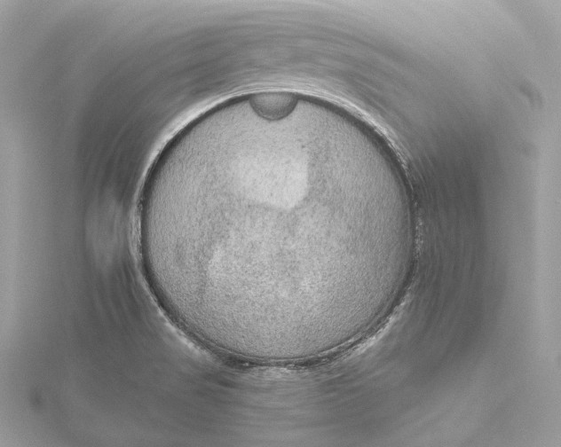 X0000115651517200912011512