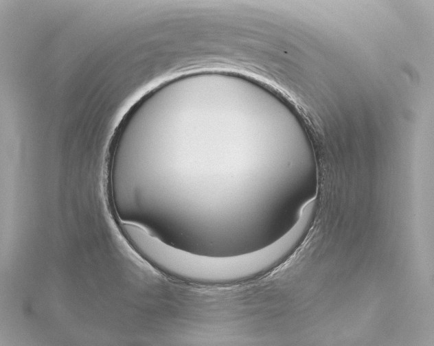 X0000115651518200912011512